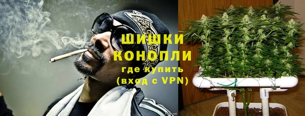 ПСИЛОЦИБИНОВЫЕ ГРИБЫ Костерёво