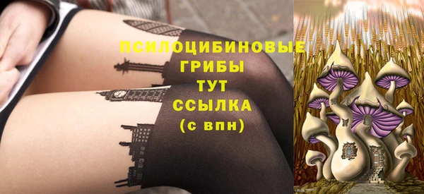 мяу мяу кристалл Корсаков