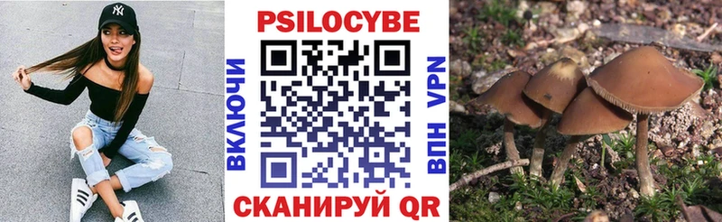 Галлюциногенные грибы Cubensis  Купить где  Вышний Волочёк 